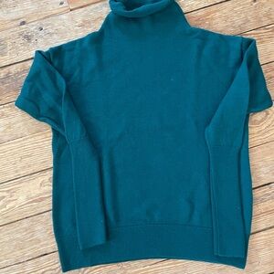 Wilfred Teal Turtleneck Sweater